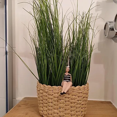 Haus Am Deich 01 公寓