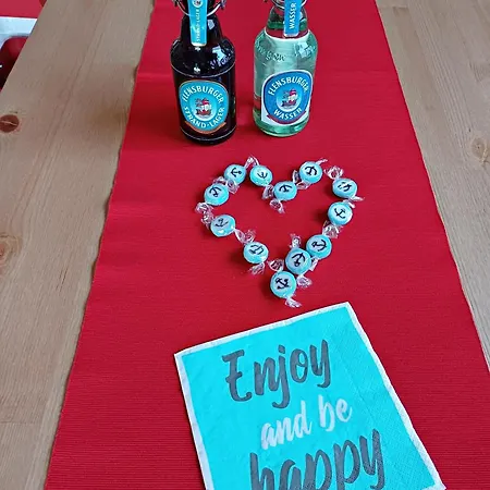 Haus Am Deich 01 达默